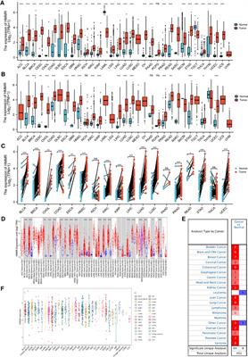 HMMR potential as a diagnostic and prognostic biomarker of cancer—speculation based on a pan-cancer analysis